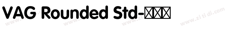 VAG Rounded Std字体转换